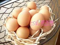 控制熱量太OUT了，這7種減肥食品讓你吃出健康體態(tài)