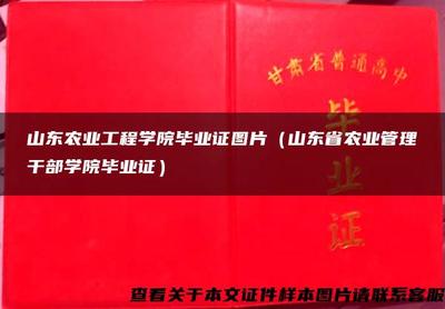 山東農業工程學院畢業證 見證轉型與成長的文化符號